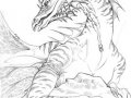 andydragon.jpg